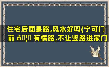 住宅后面是路,风水好吗(宁可门前 🦈 有横路,不让竖路进家门)